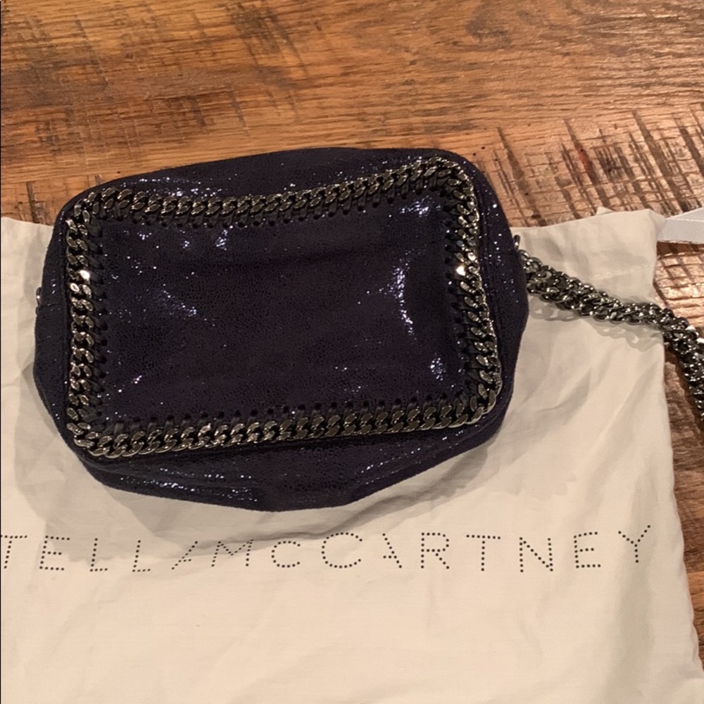 Gorgeous “going out” bag